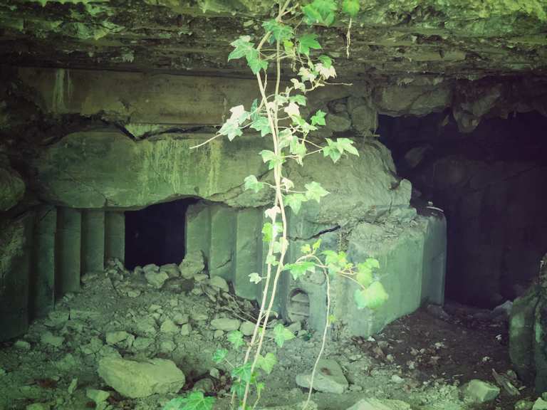 Bunker aus dem 2. Weltkrieg: Touren und Karten | komoot