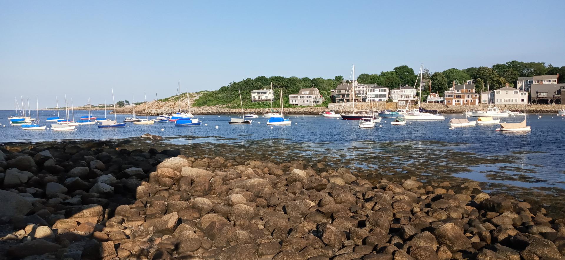 Boats moored in a sunny bay with houses on a green hillside.