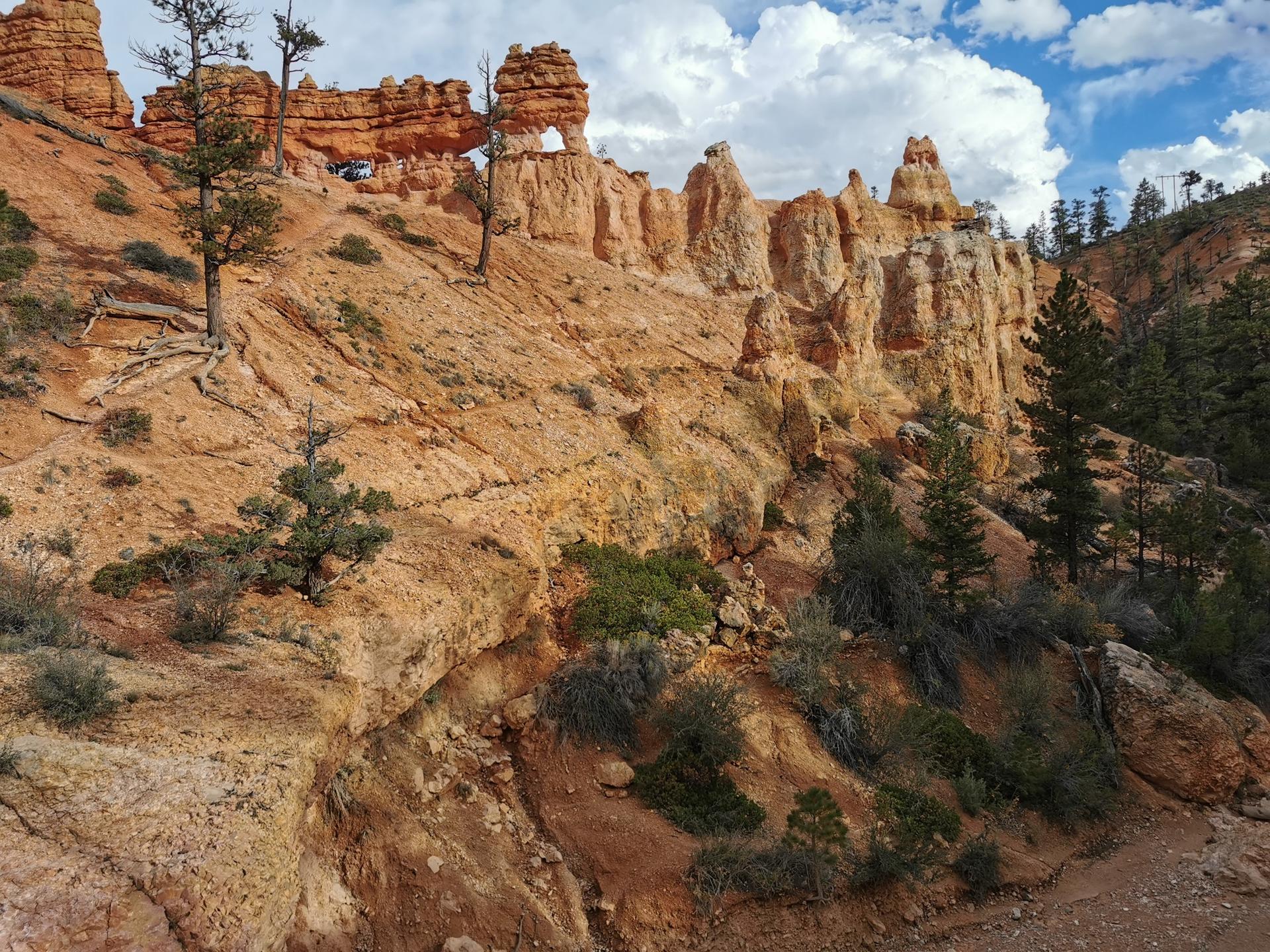 Red rock formations and cliffs with scattered pine trees under a partly cloudy sky.