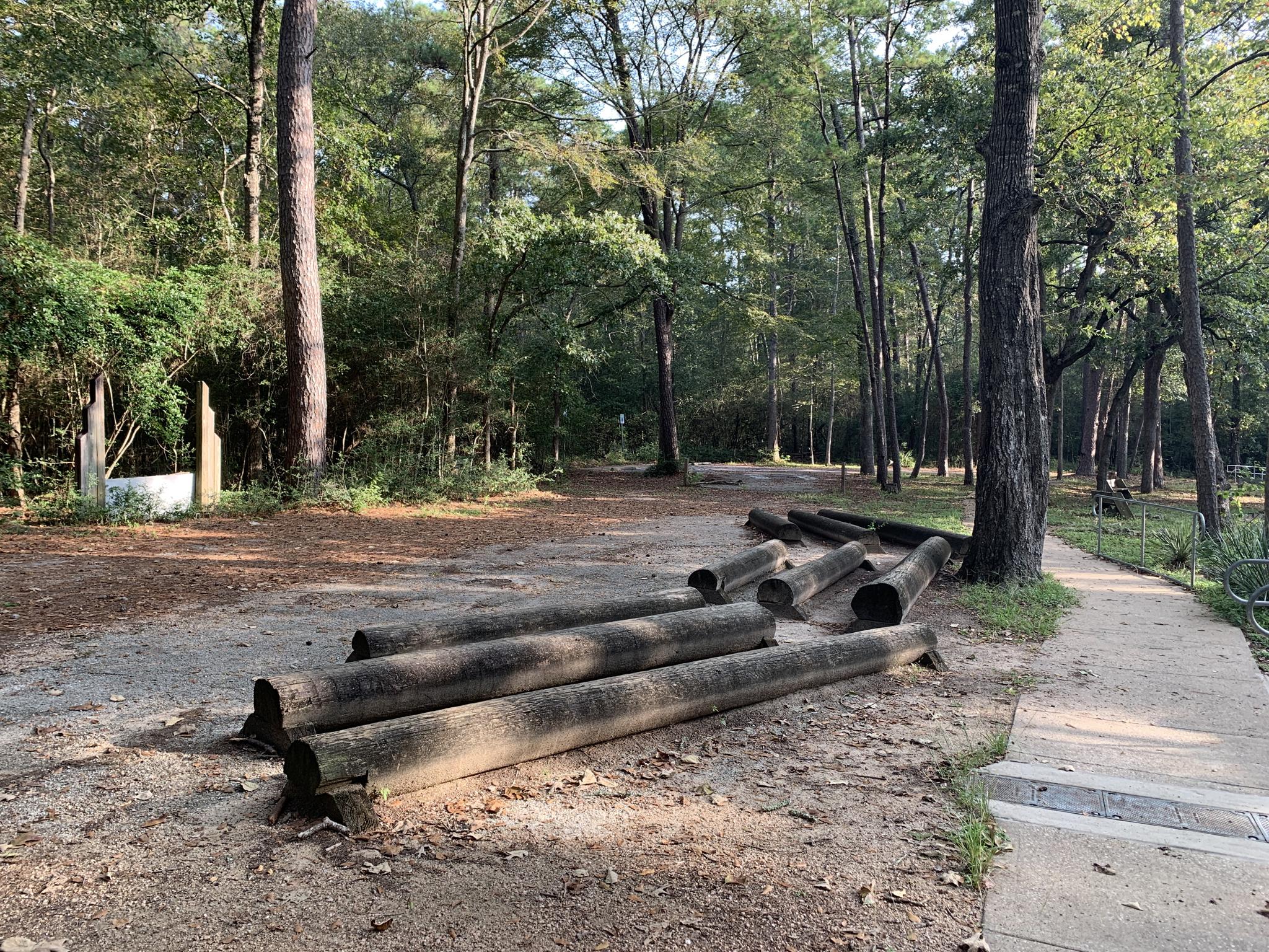 Cut logs on a dirt clearing next to a paved path in a sunny forest.
