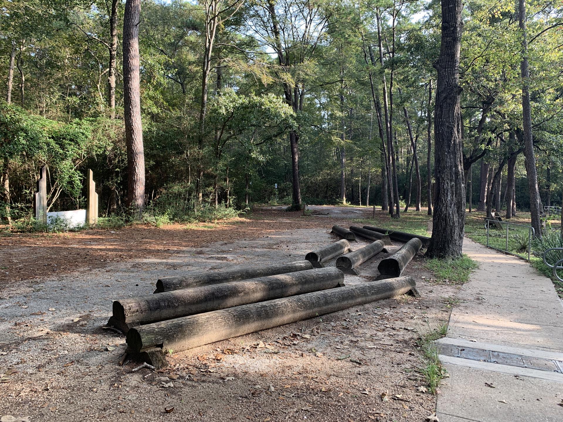 Cut logs on a dirt clearing next to a paved path in a sunny forest.