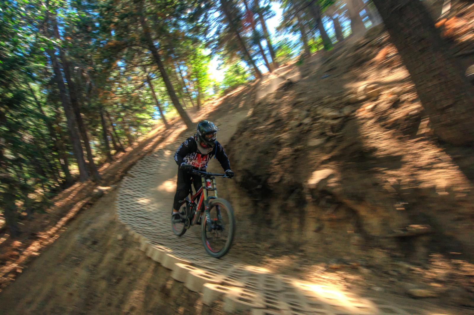 A mountain biker descends a winding dirt trail through a sun-dappled forest.