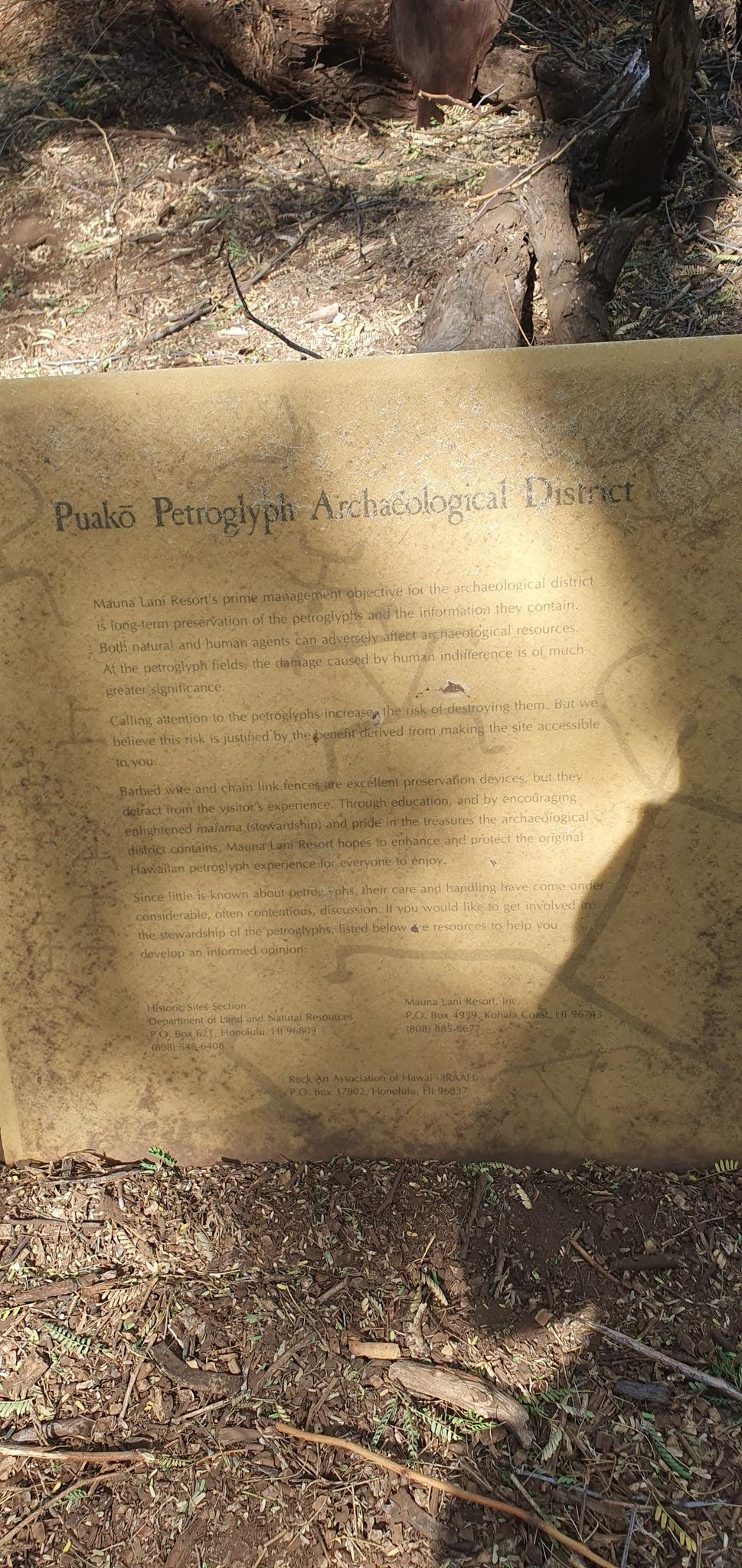 Weathered informational sign on the ground, partially obscured by a large shadow.