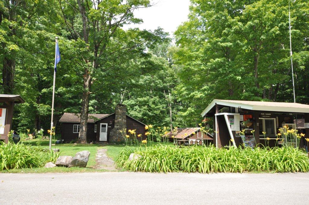 Rustic cabins and dense green trees with yellow flowers under bright daylight.