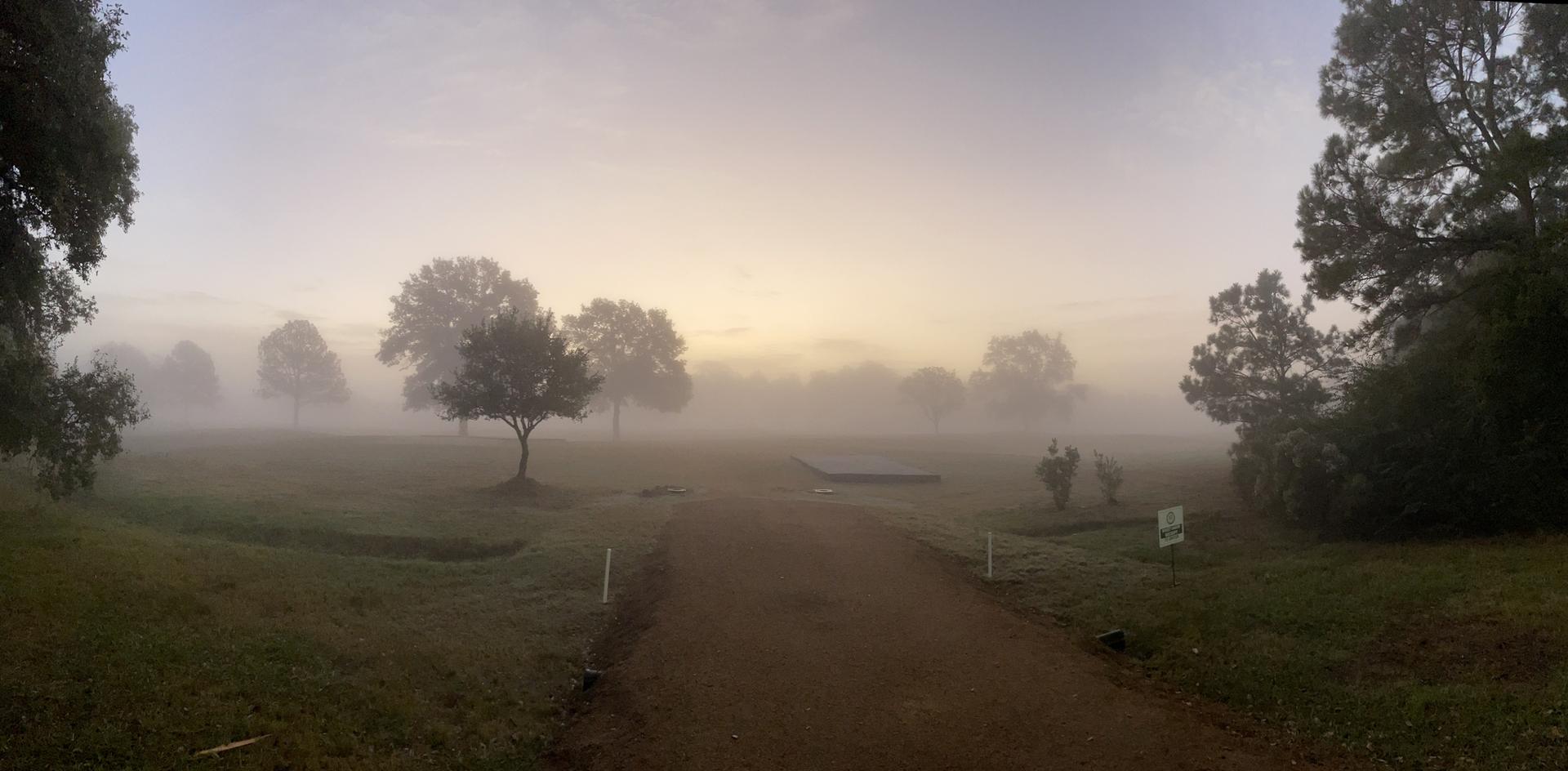A dirt path leads through a foggy field with scattered trees at sunrise.