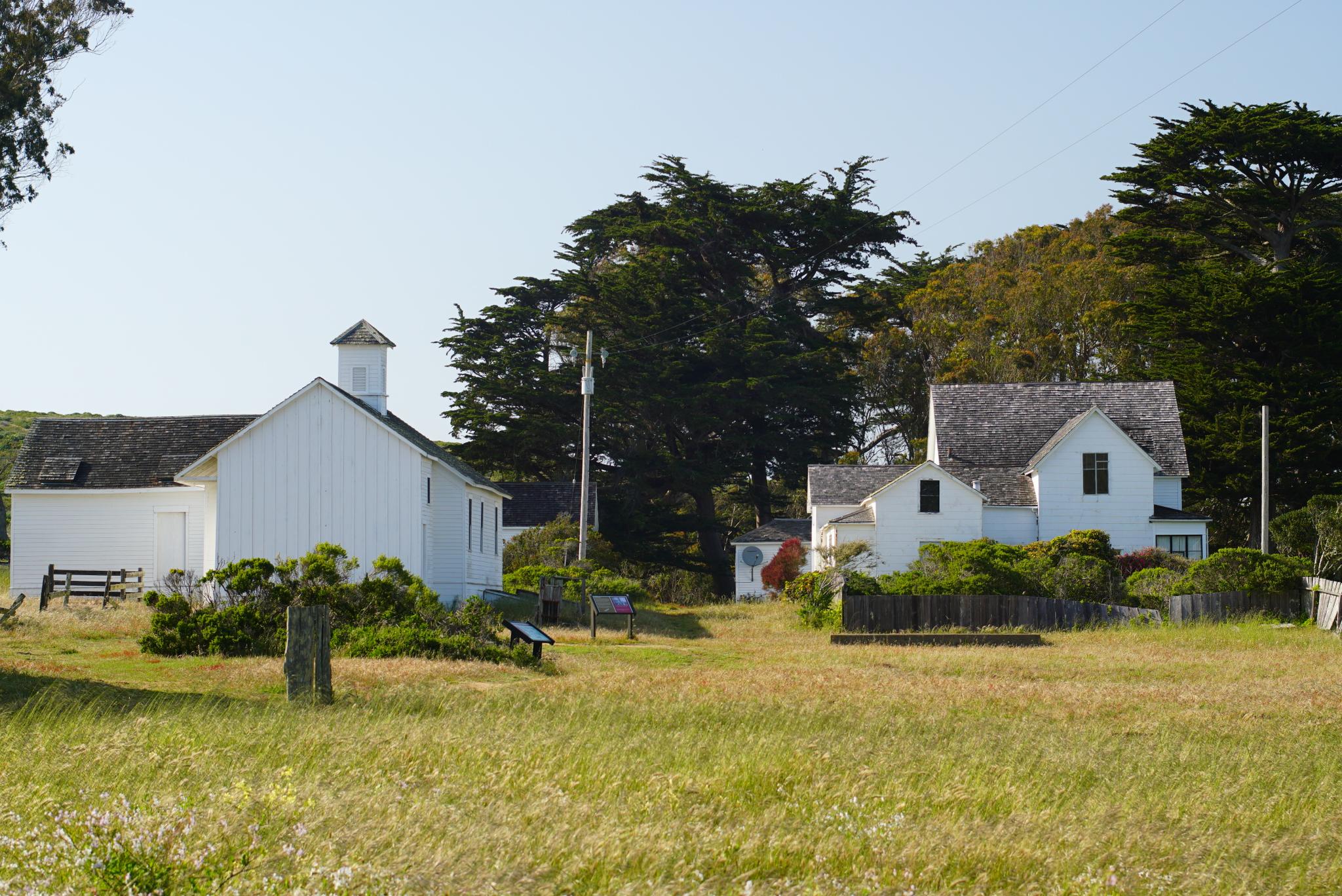 White historic buildings stand in a golden grassy field, framed by tall green trees.