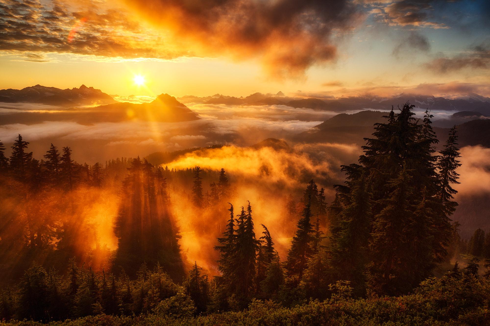 Sunbeams pierce through golden fog over a forested mountain range at sunrise.
