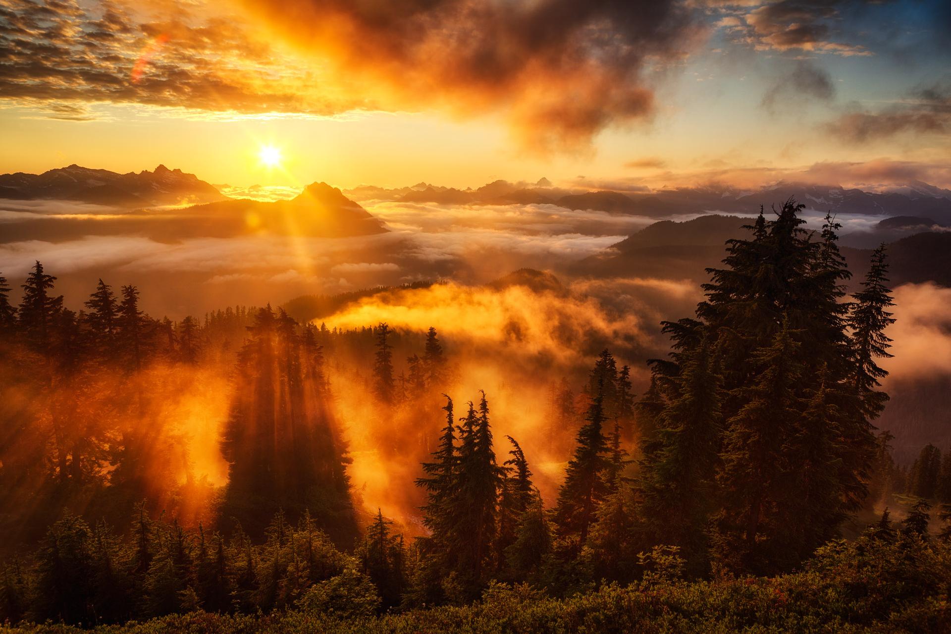 Sunbeams pierce through golden fog over a forested mountain range at sunrise.
