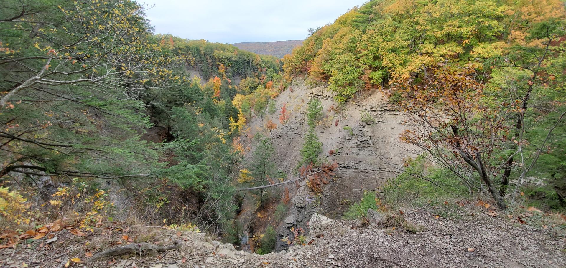 Deep gorge with steep, rocky cliffs and colorful autumn trees under overcast sky.