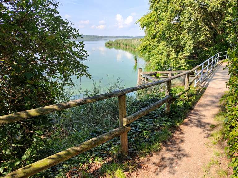 Großer Teich in Wanderungen und Rundwege komoot