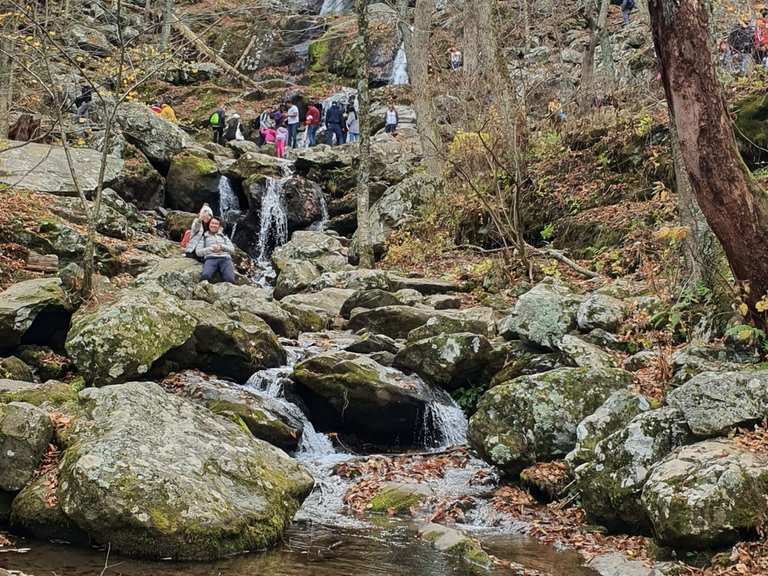 Dark Hollow Falls Trail Shenandoah National Park Hike Komoot