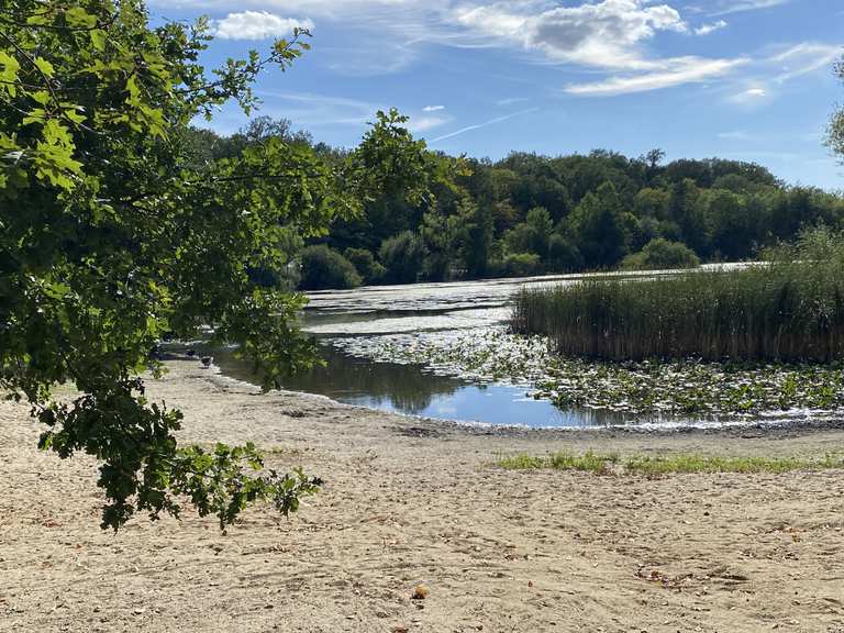 Waldsee Hämelerwald Radtouren und Radwege komoot