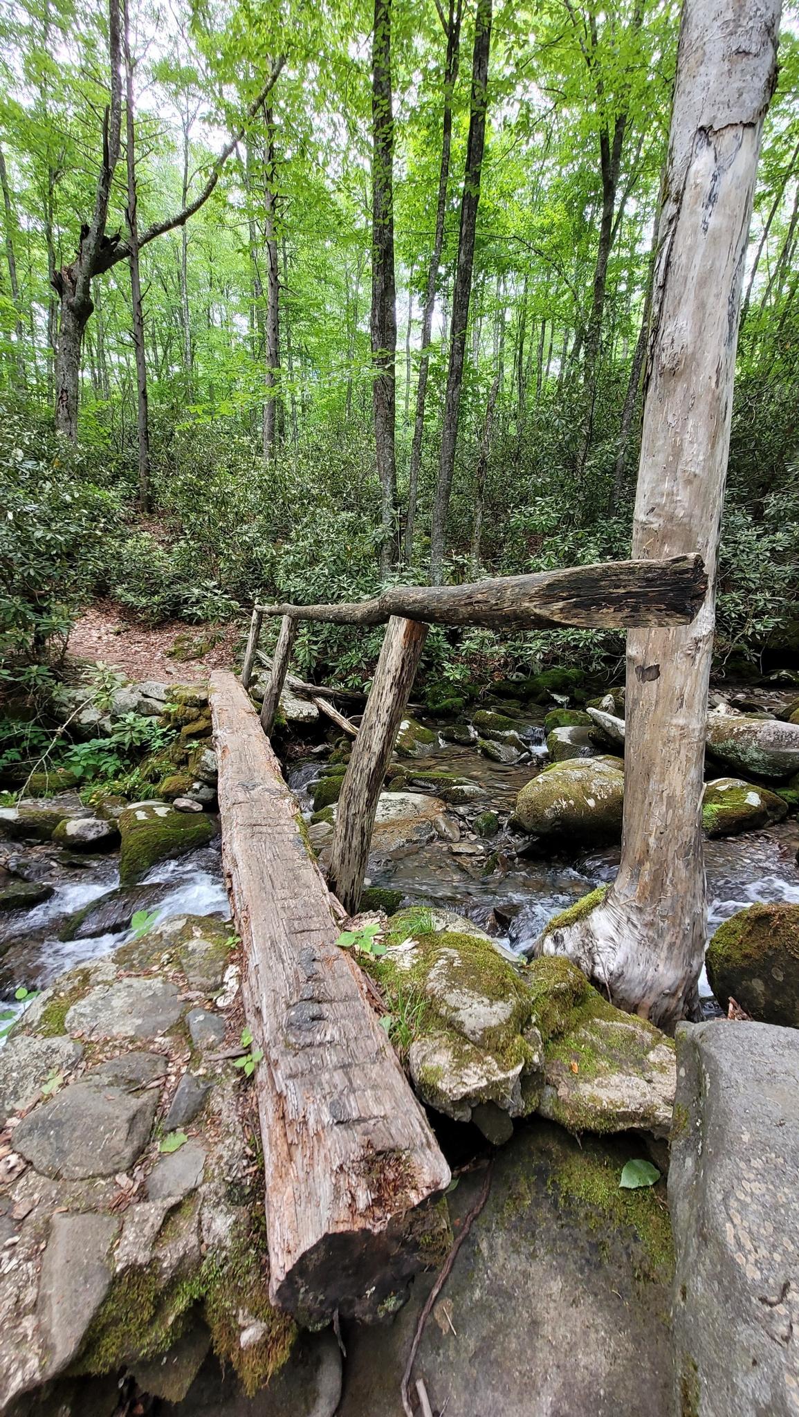 Rustic log bridge crosses a rocky stream in a lush green forest.