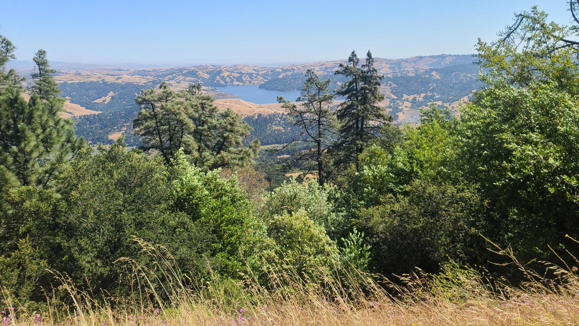 Panoramic view of a lake and dry hills through green trees.