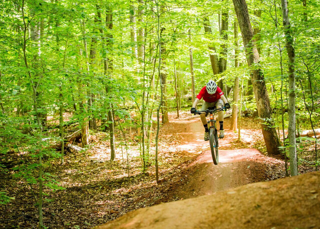 Mountain biker jumps on a dirt trail in a bright green forest.