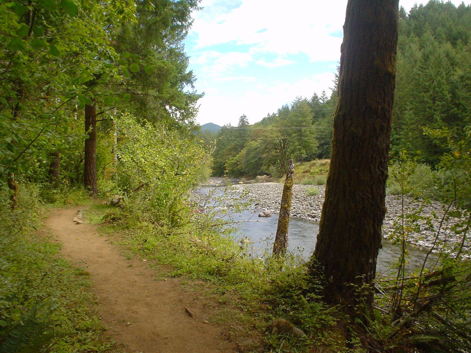 A dirt path winds through a lush forest beside a rocky river under bright skies.