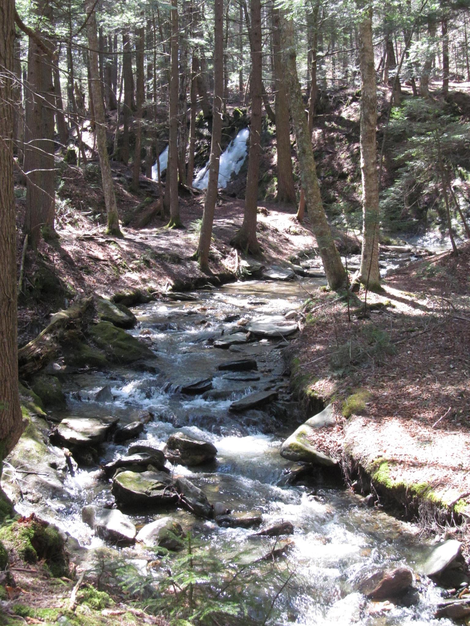 Sunlight illuminates a rocky stream winding through a dense forest with a distant waterfall.