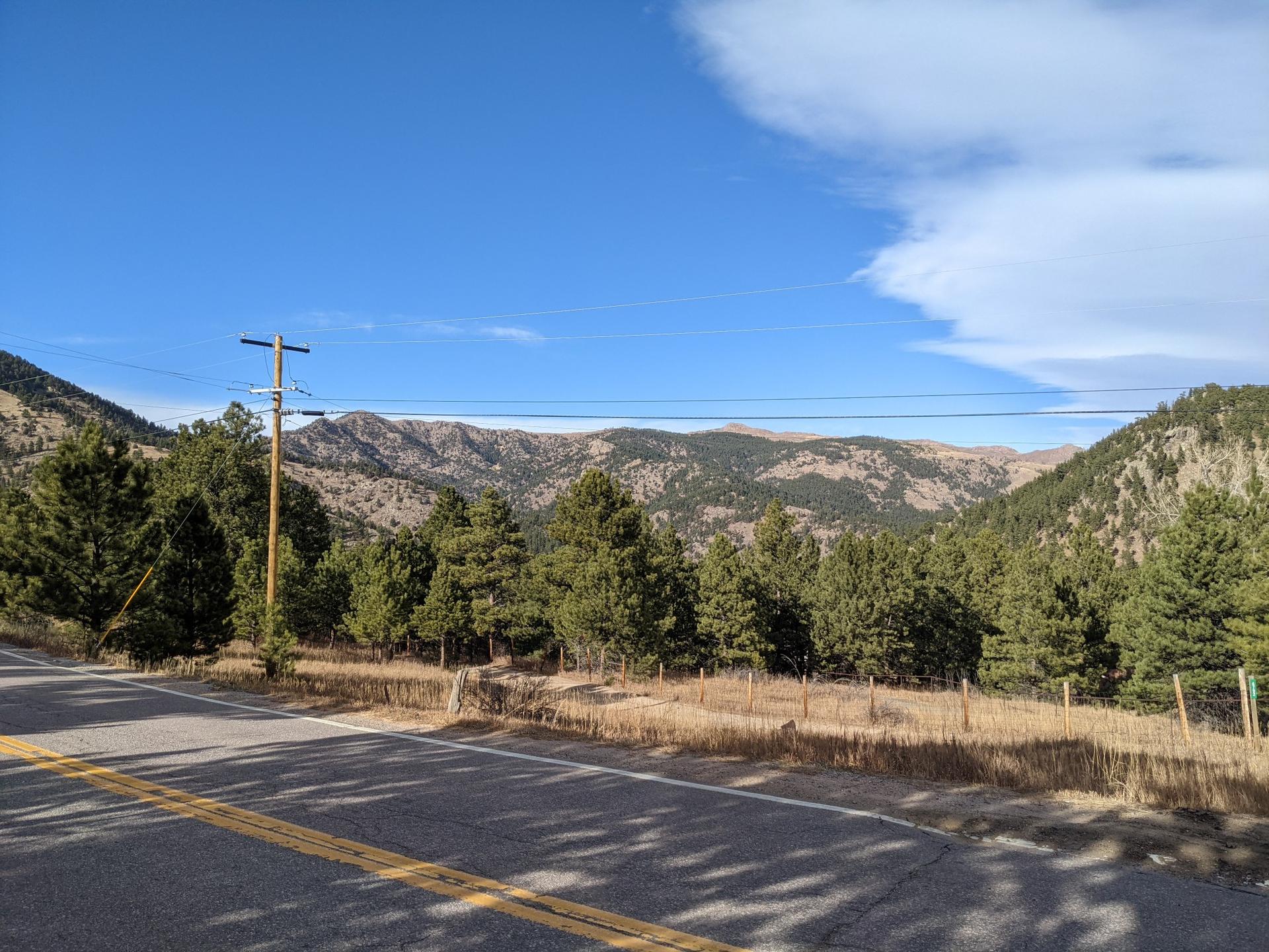 Roadside view of pine trees and distant mountains under a bright blue sky.