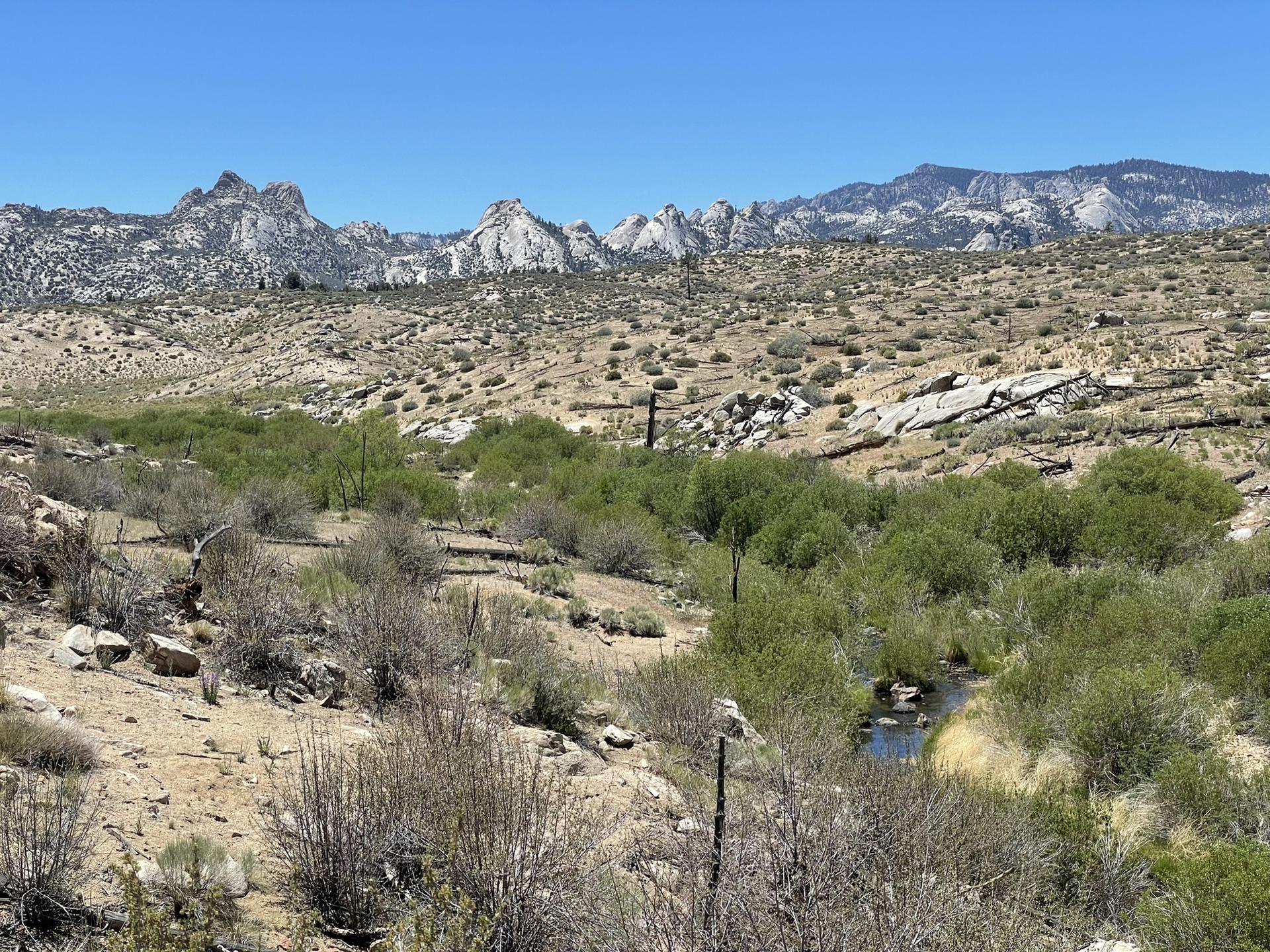Small stream flows through green bushes in an arid valley with rugged mountains.