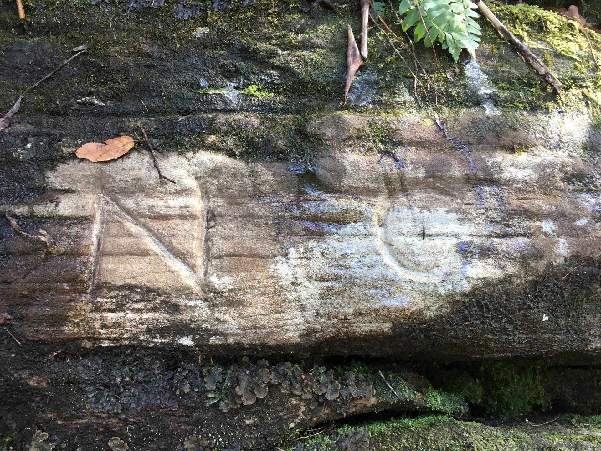 Ancient letters carved into a moss-covered rock face in dappled light.
