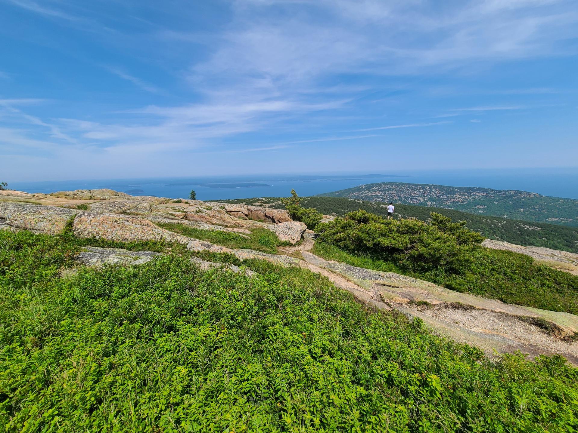 Rocky mountain top with green shrubs, distant ocean, and clear blue sky.