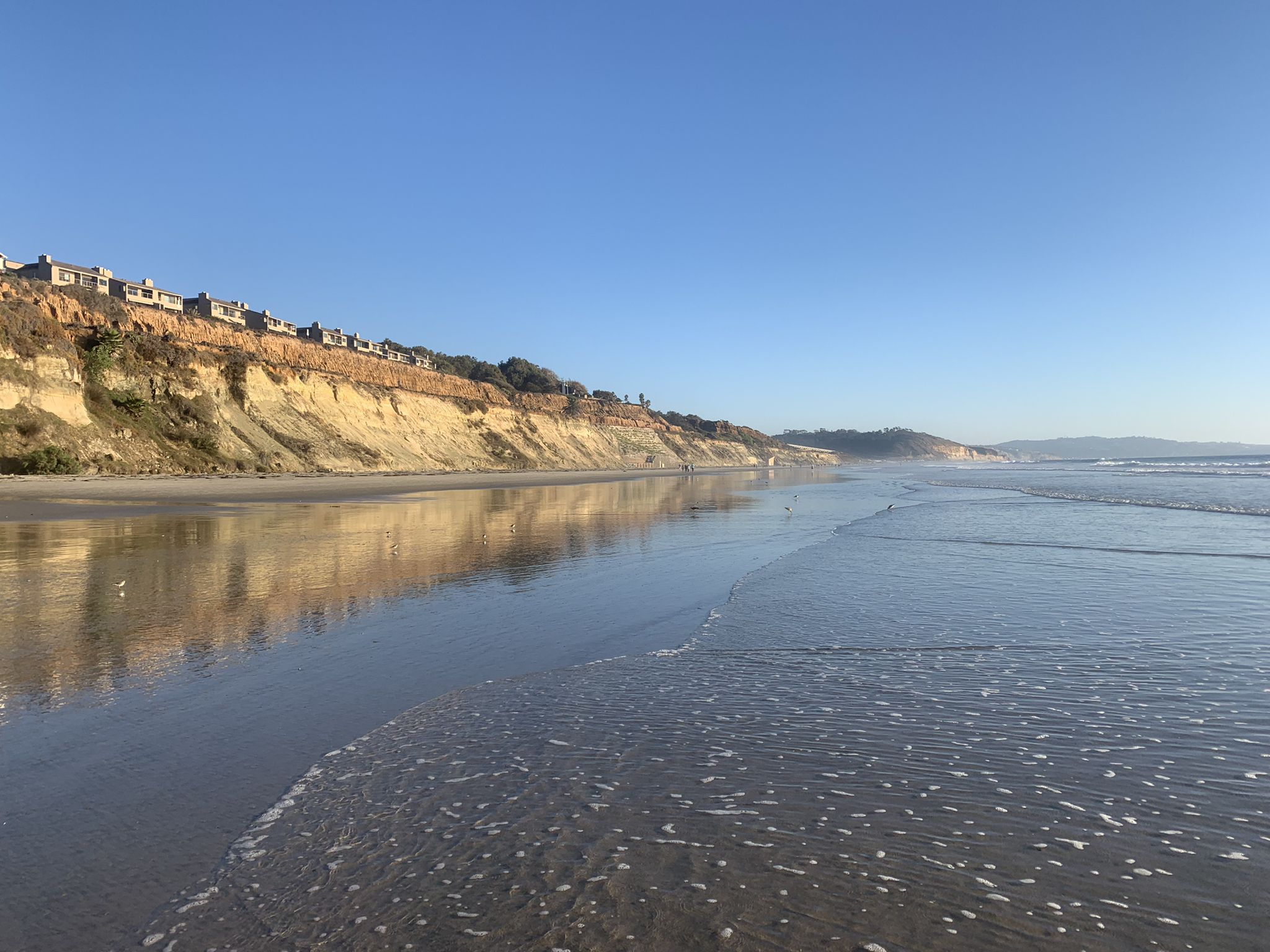 Sunny beach with gentle waves, tall cliffs, and distant houses under blue sky. - Del Mar Beach and Cliff loop from Del Mar