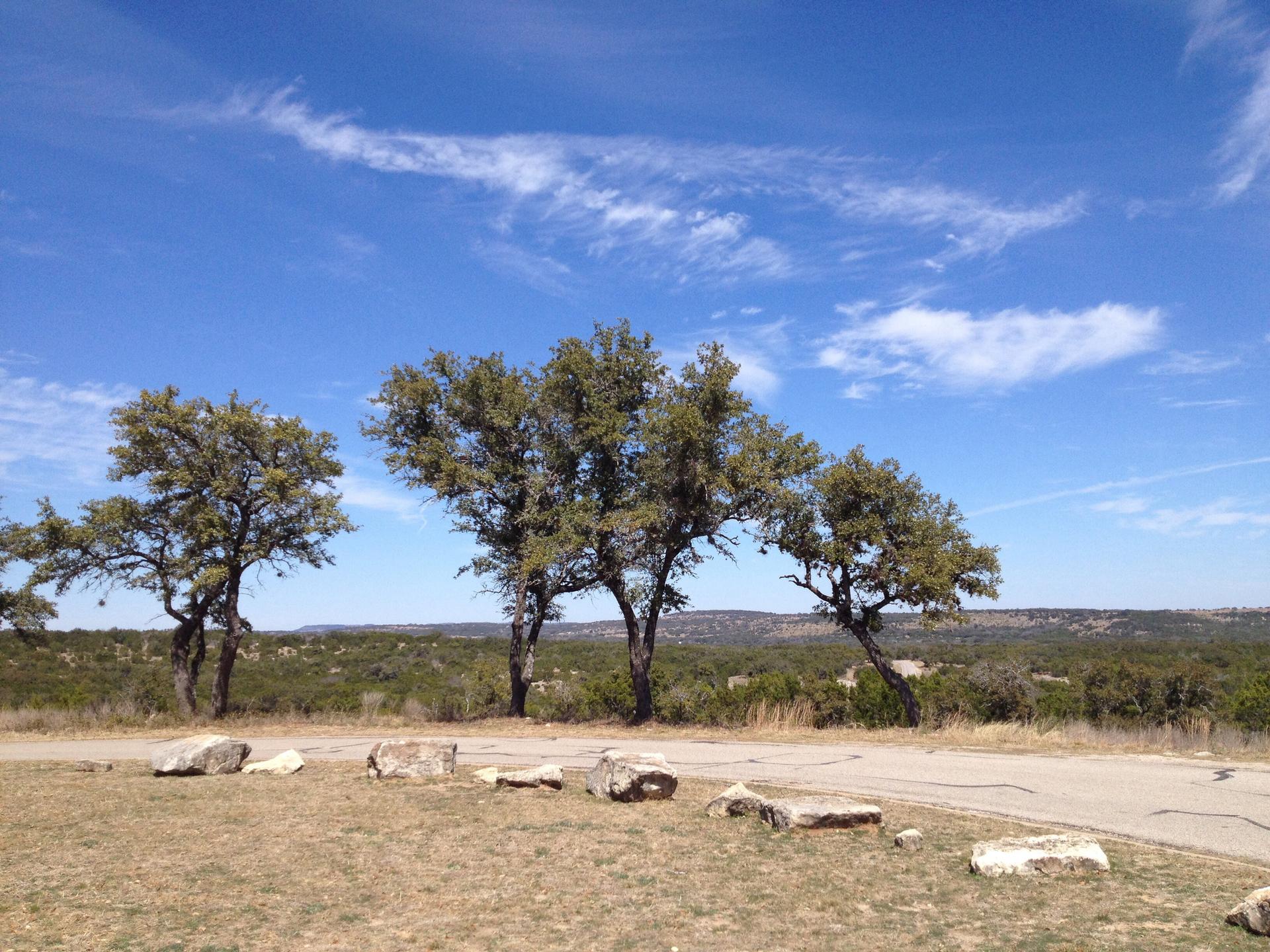Several green trees stand against a bright blue sky over a vast landscape.