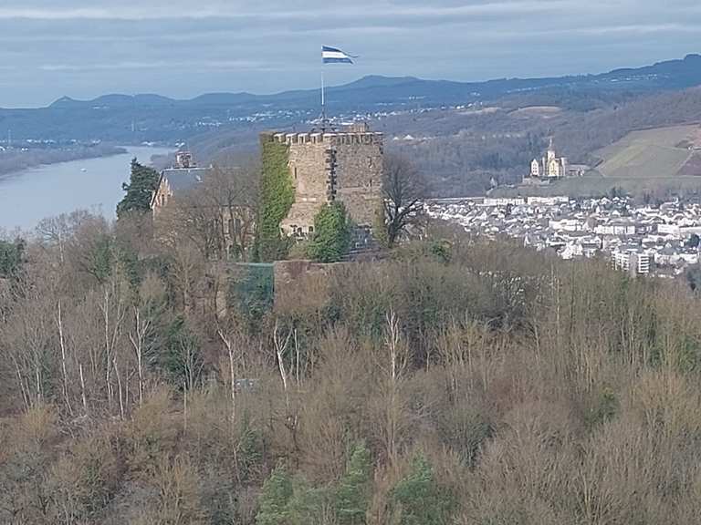 Blick auf Burg Rheineck – Wander- & Radrouten | Komoot