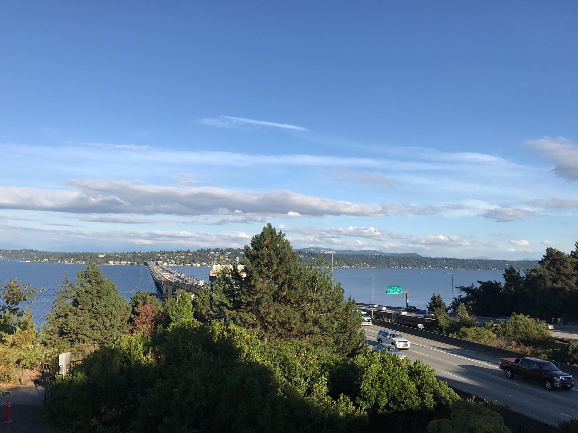 Sunny view of a wide bay, bridge, highway with cars, and green trees.