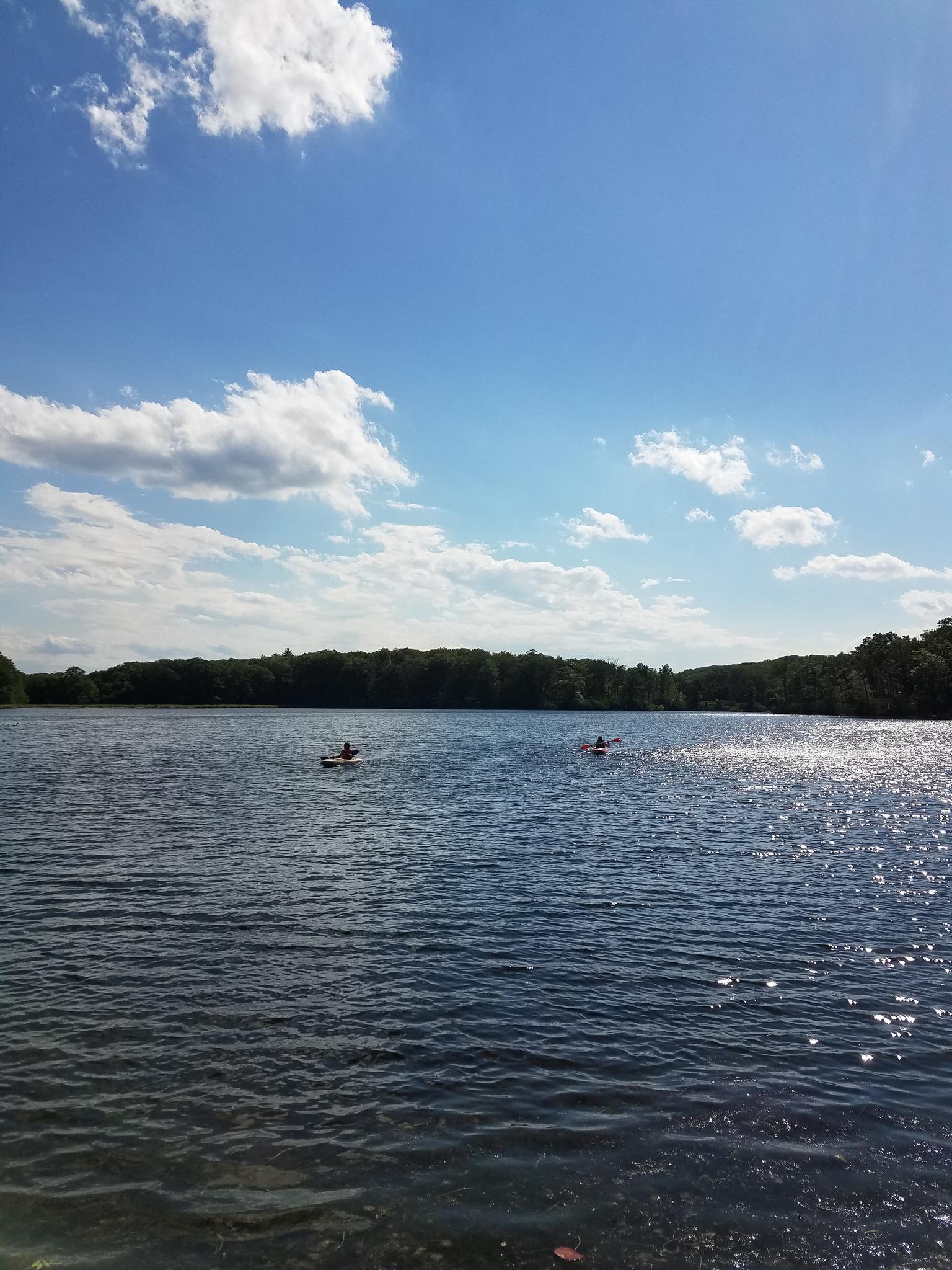 Two people kayak on a sunny lake with forested shores under a blue sky.