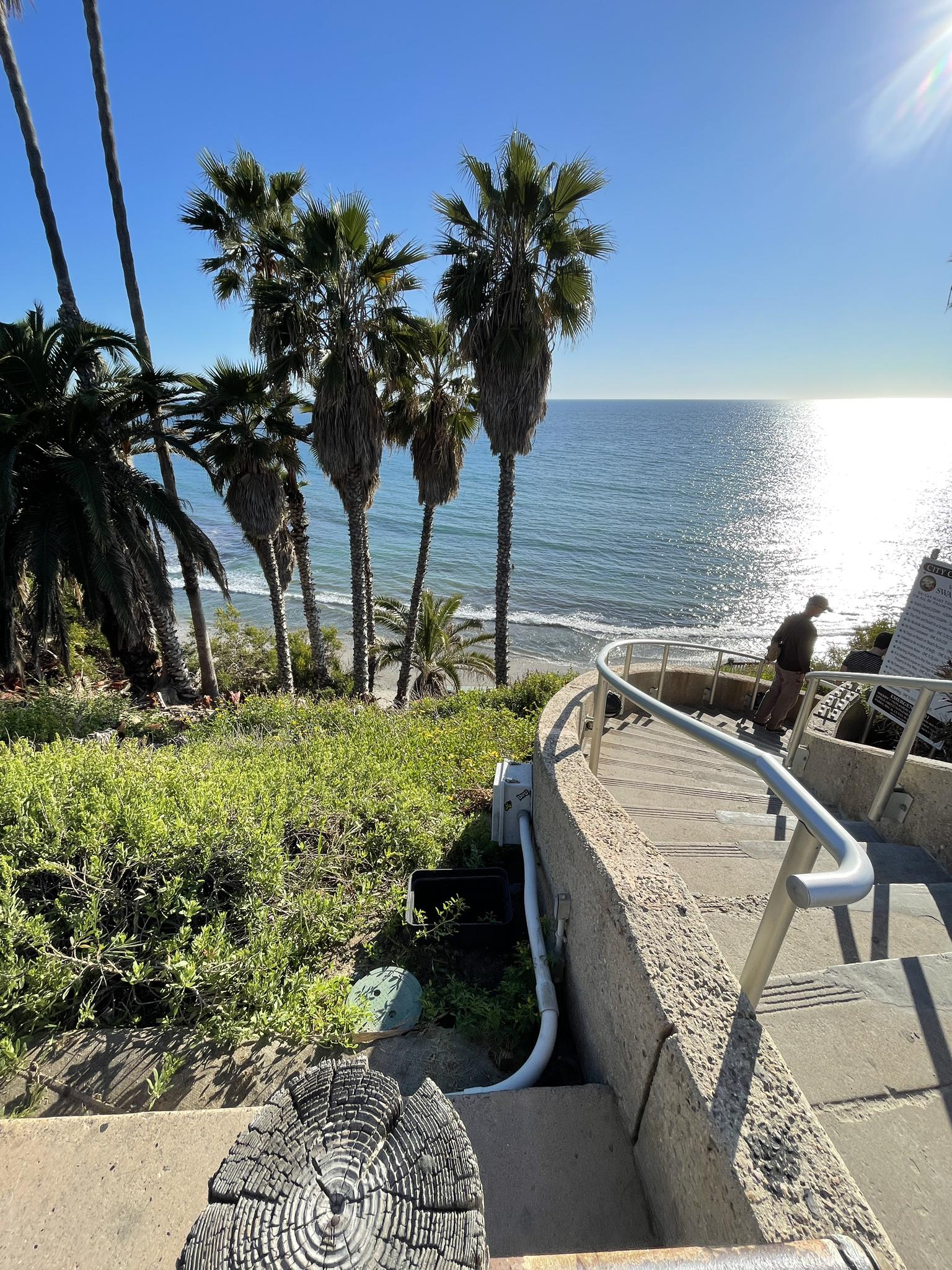 Sunny ocean view with palm trees, sun glare, and person on stairs.