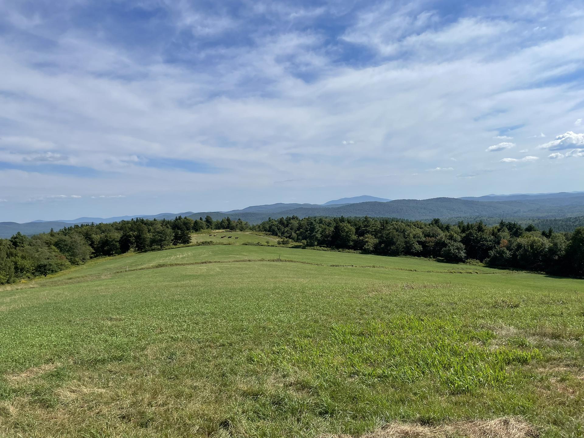 Expansive green field under a partly cloudy sky, with distant forested mountains.