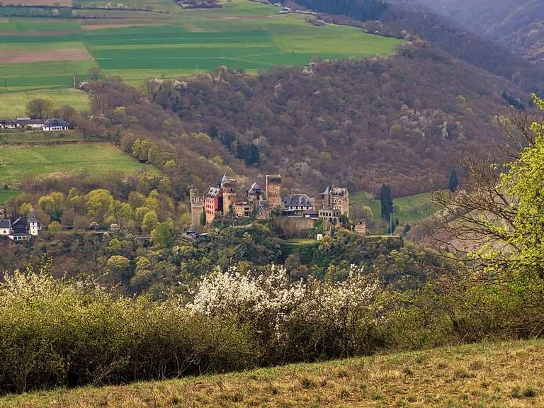 Blick auf Patersberg – Wanderungen & Anfahrt | Komoot