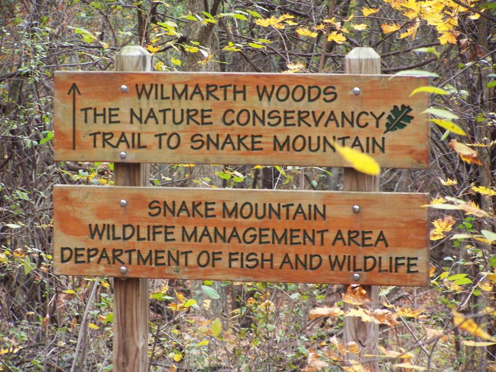Two wooden trail signs on a post in a bright, leafy autumn forest.
