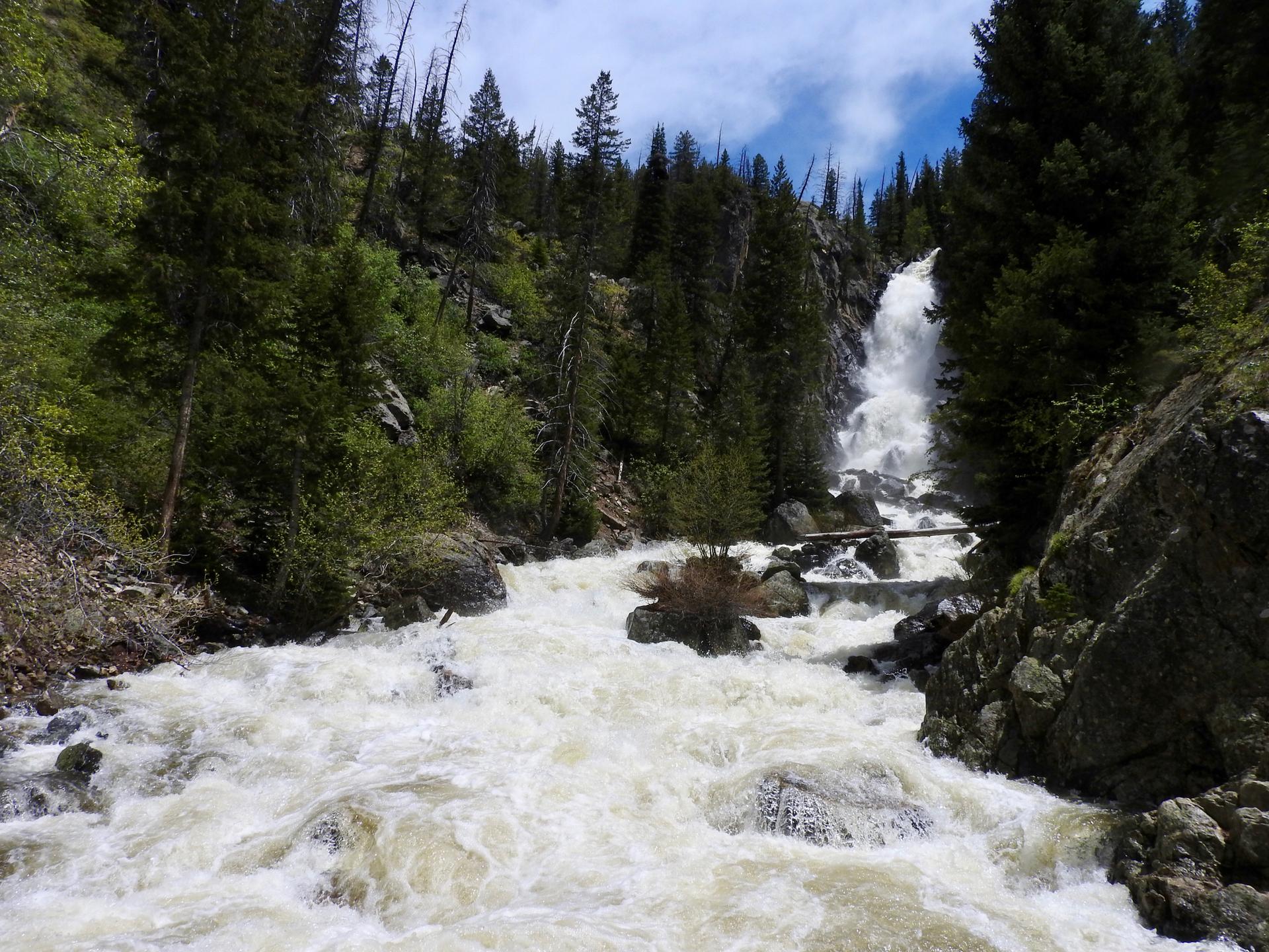 Powerful waterfall cascades into a rushing, rocky river in a forest.
