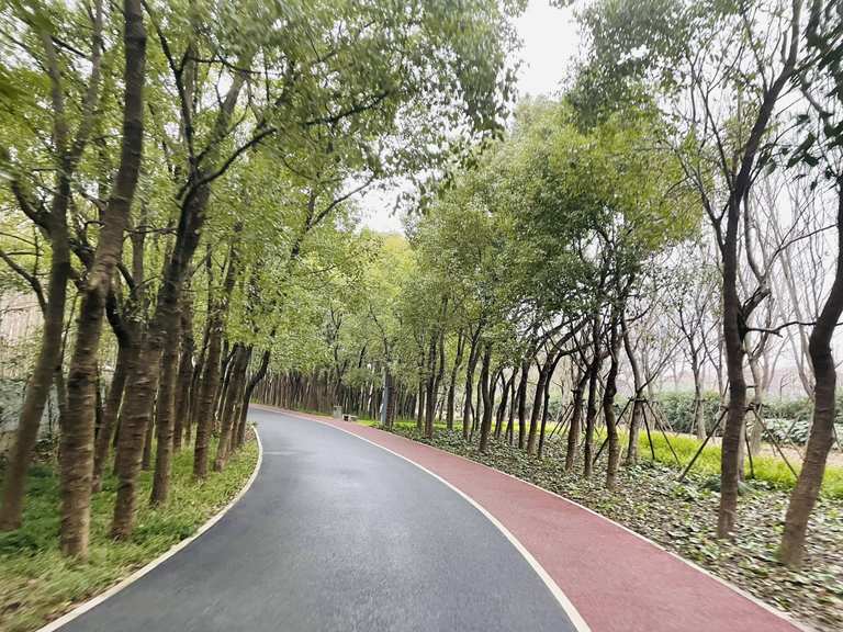 Shanghai Greenway - Road Cycle Routes and Map | Komoot