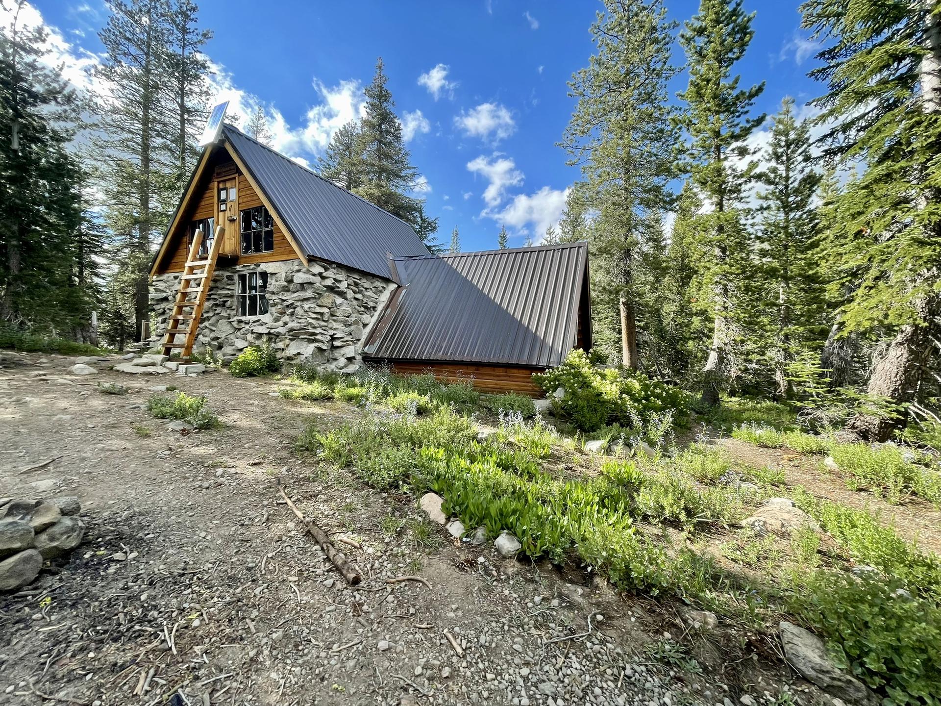 Rustic cabin nestled among tall pine trees under a bright blue sky.