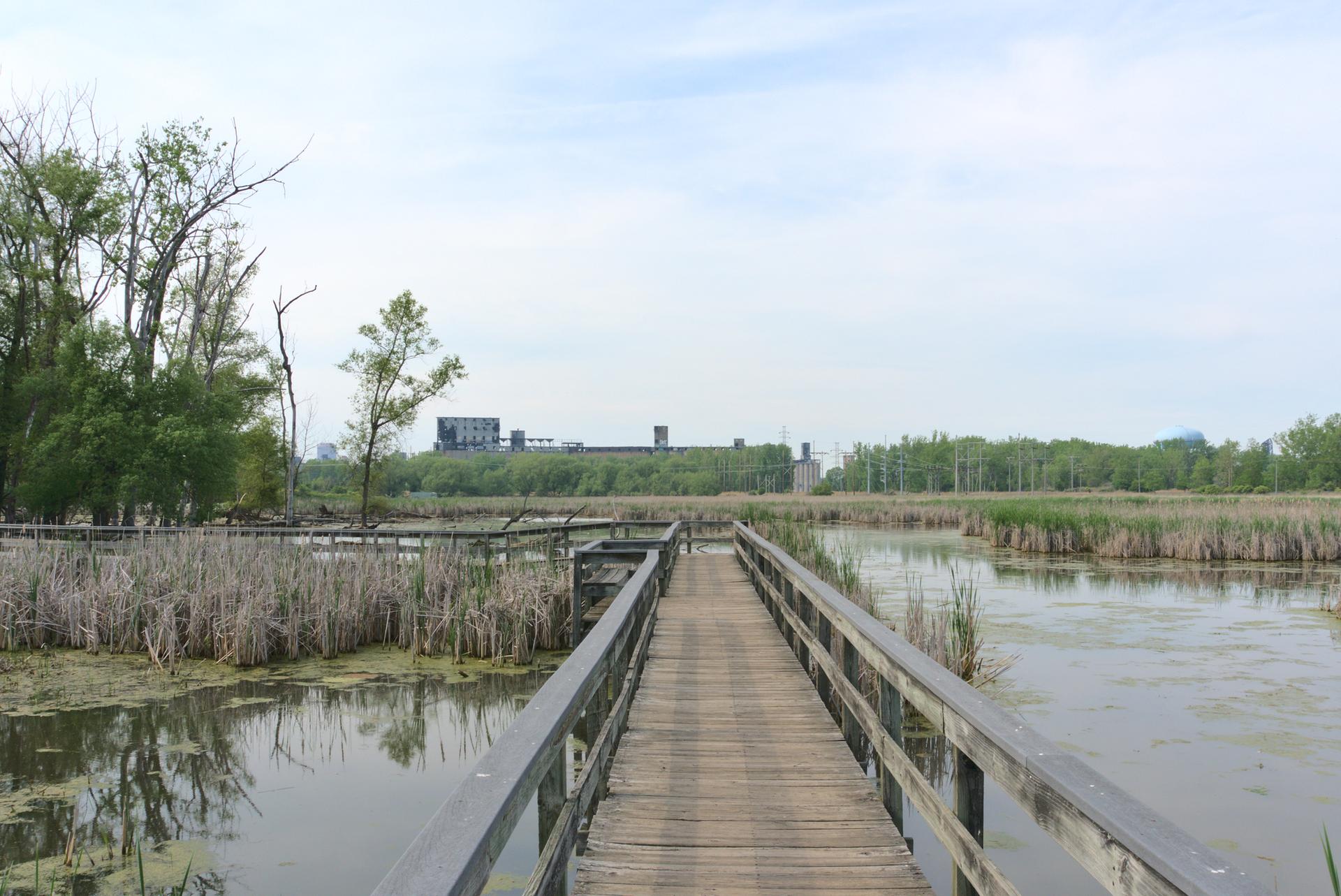 Wooden boardwalk over a marshy wetland with distant industrial buildings.