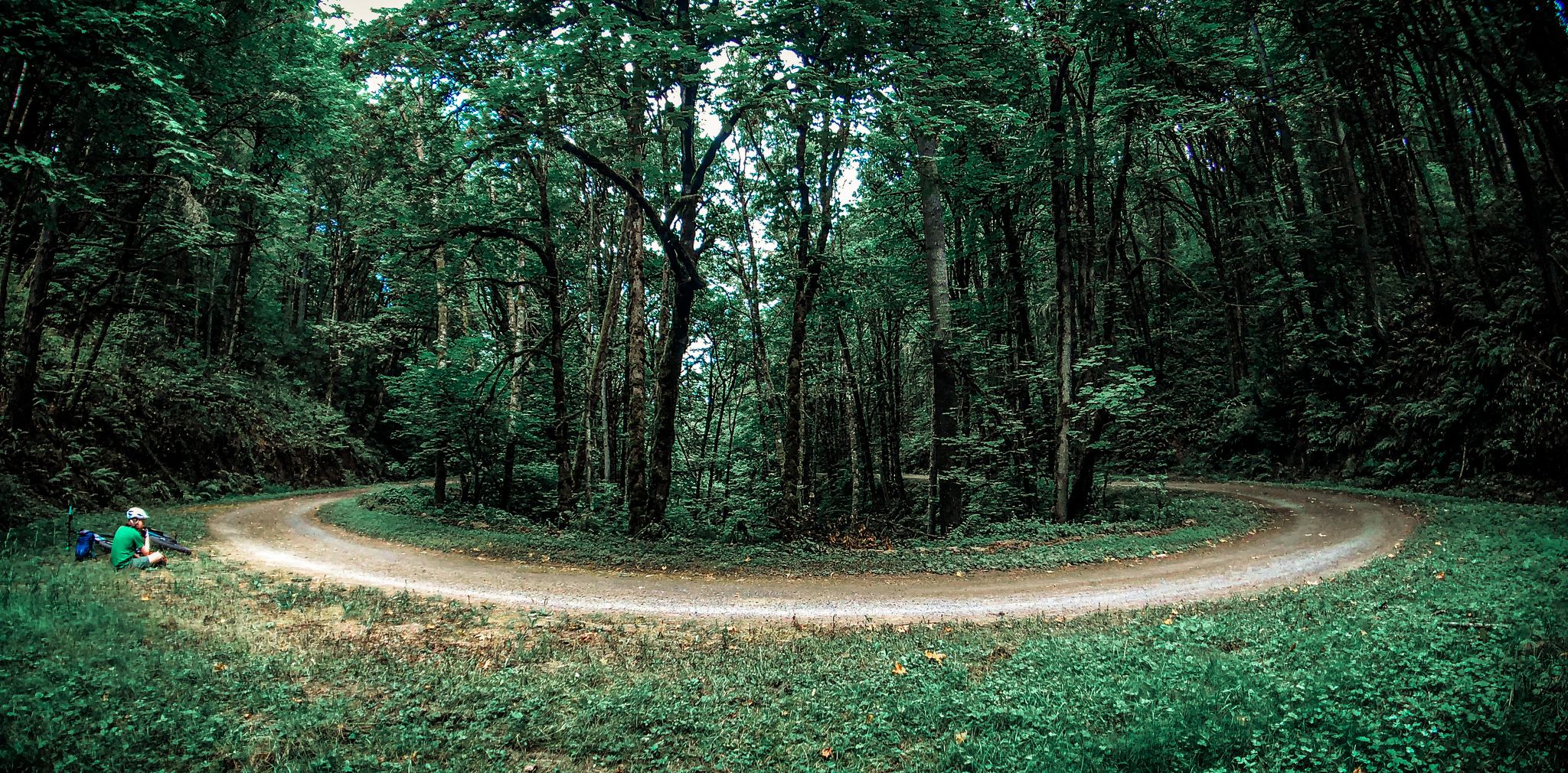 Person rests beside a winding dirt road through a dark green forest. - Northwest Leif Erikson Drive – Leif Erickson Drive Trailhead loop from Elmonica/Southwest 170th Avenue