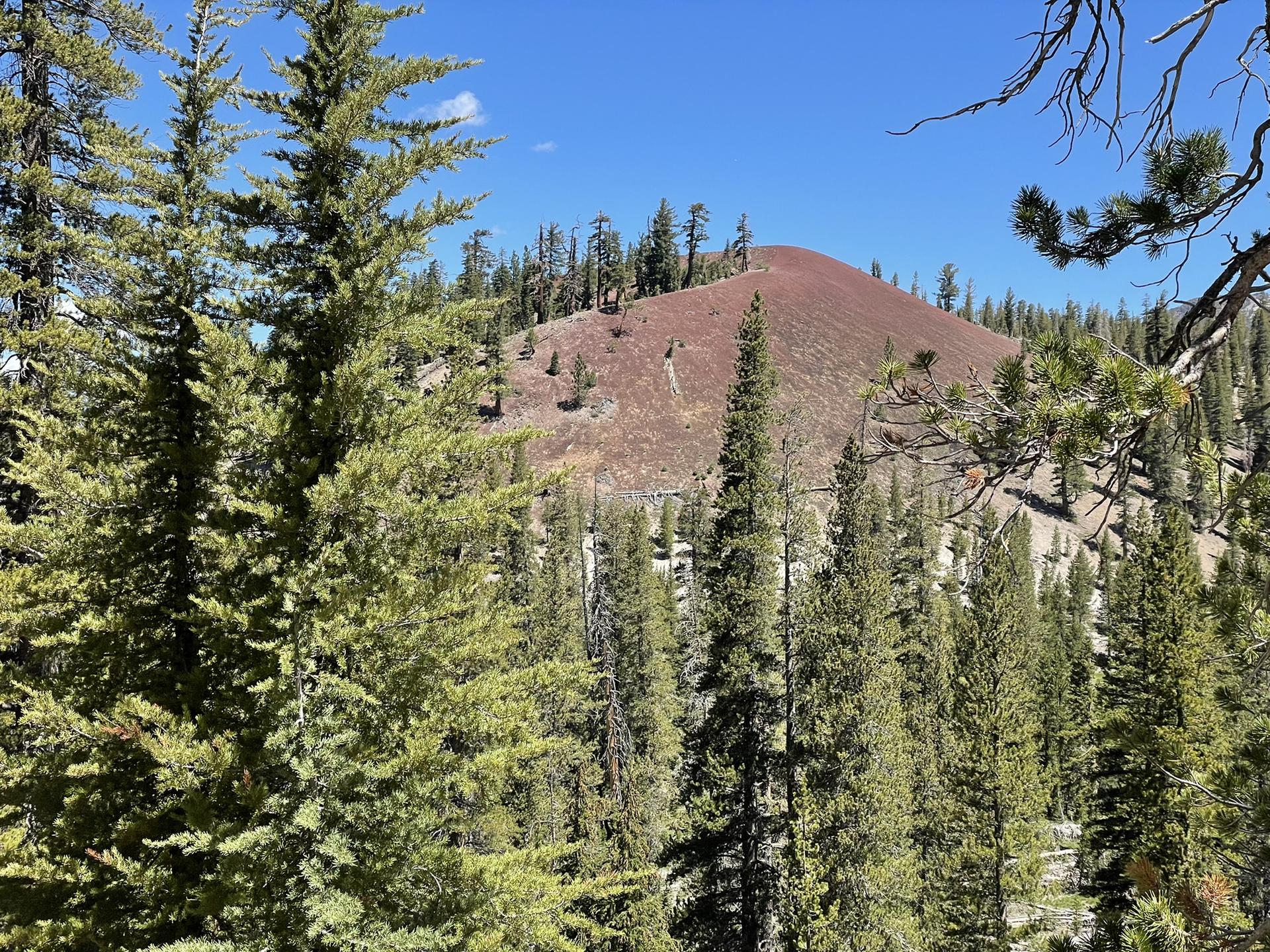 Reddish-brown volcanic cone rising above a dense green pine forest.
