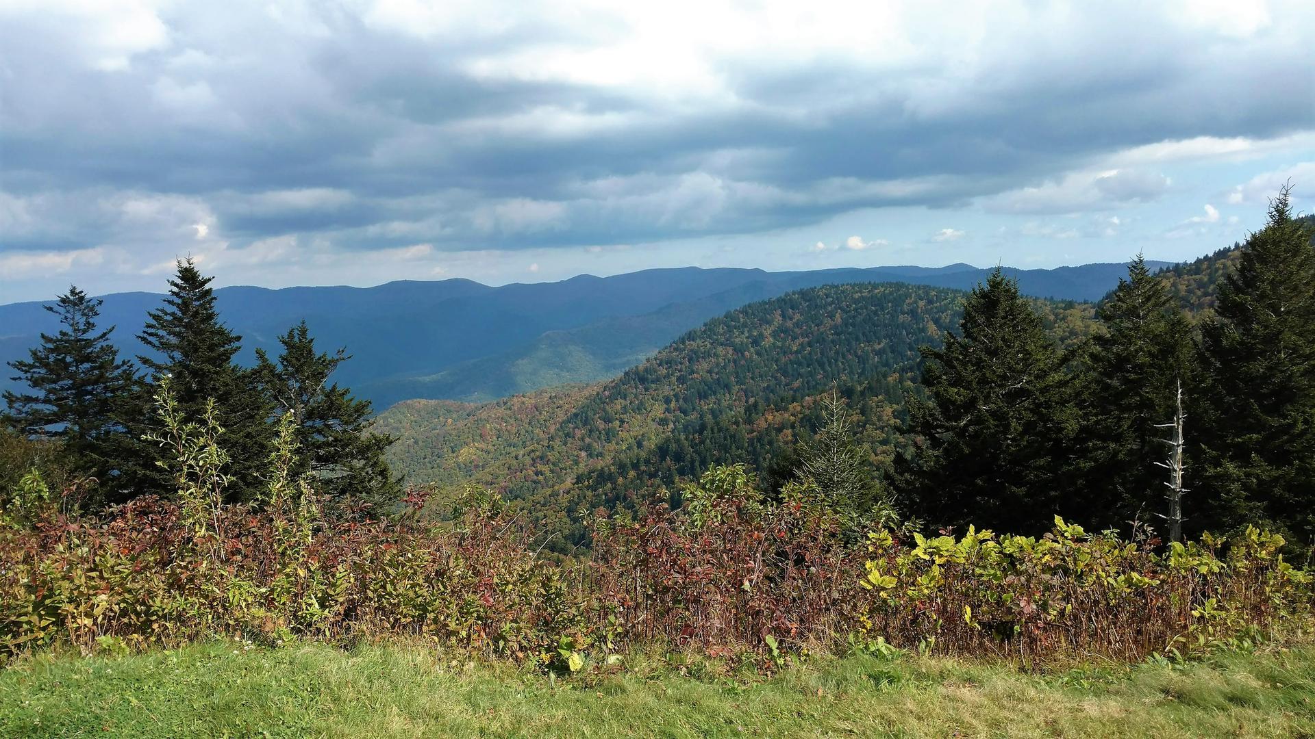 A panoramic view of rolling mountains and evergreen trees under a cloudy sky.