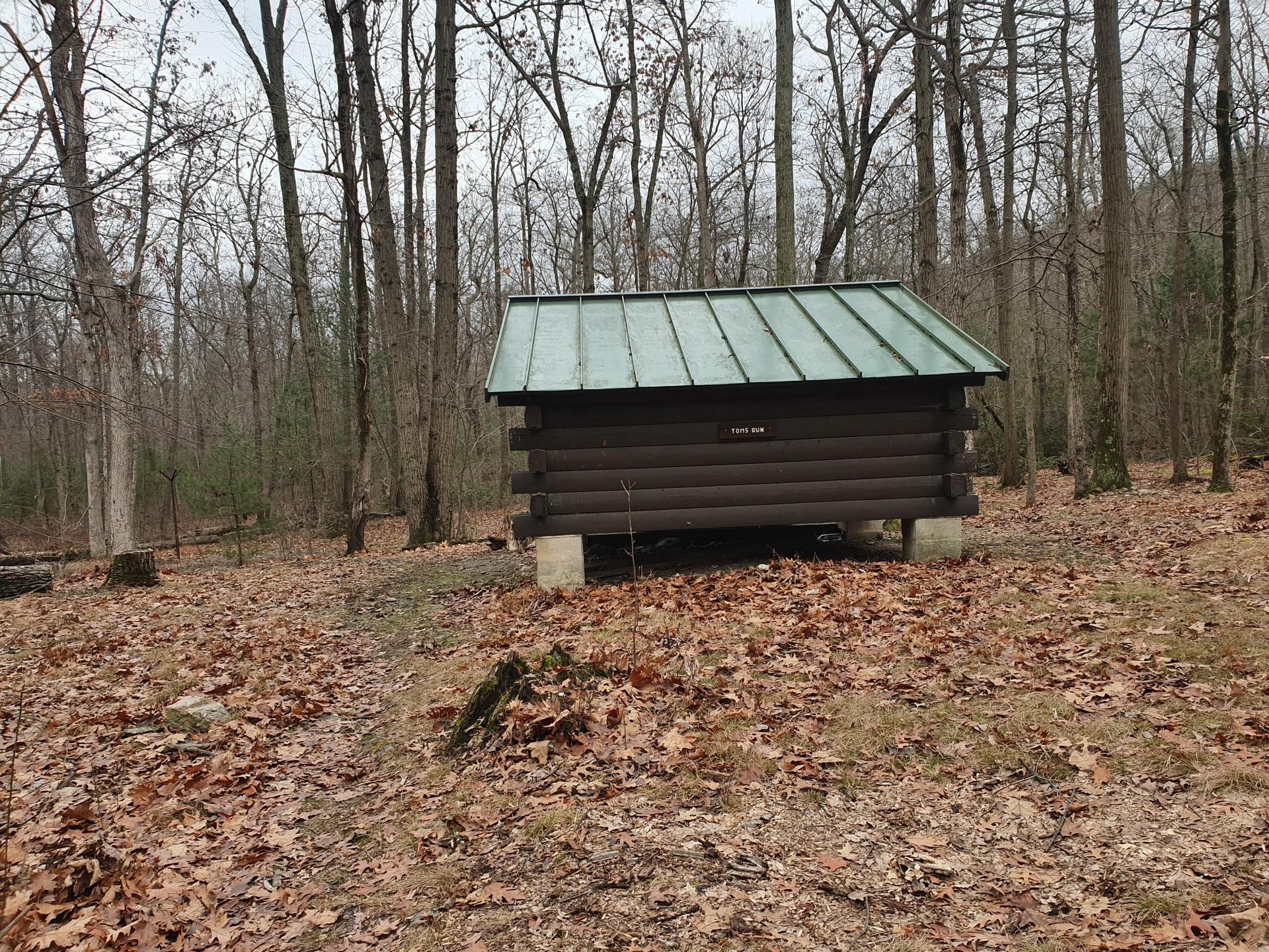 A small log cabin with a green roof sits in a bare, leaf-covered forest.