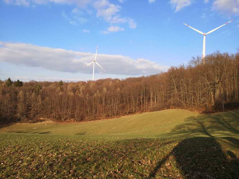 Waldblick mit Windrad Wanderungen und Rundwege komoot