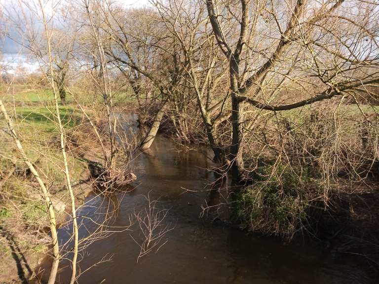 Afon Clywedog Radtouren und Radwege komoot
