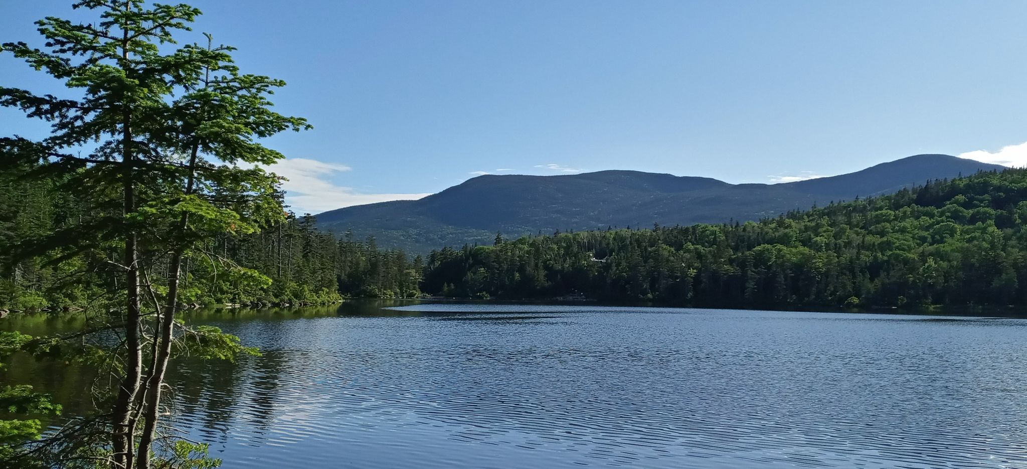Calm lake surrounded by green forests and distant mountains under a clear blue sky. - North Kinsman, South Peak and Cannon Balls Loop Trail