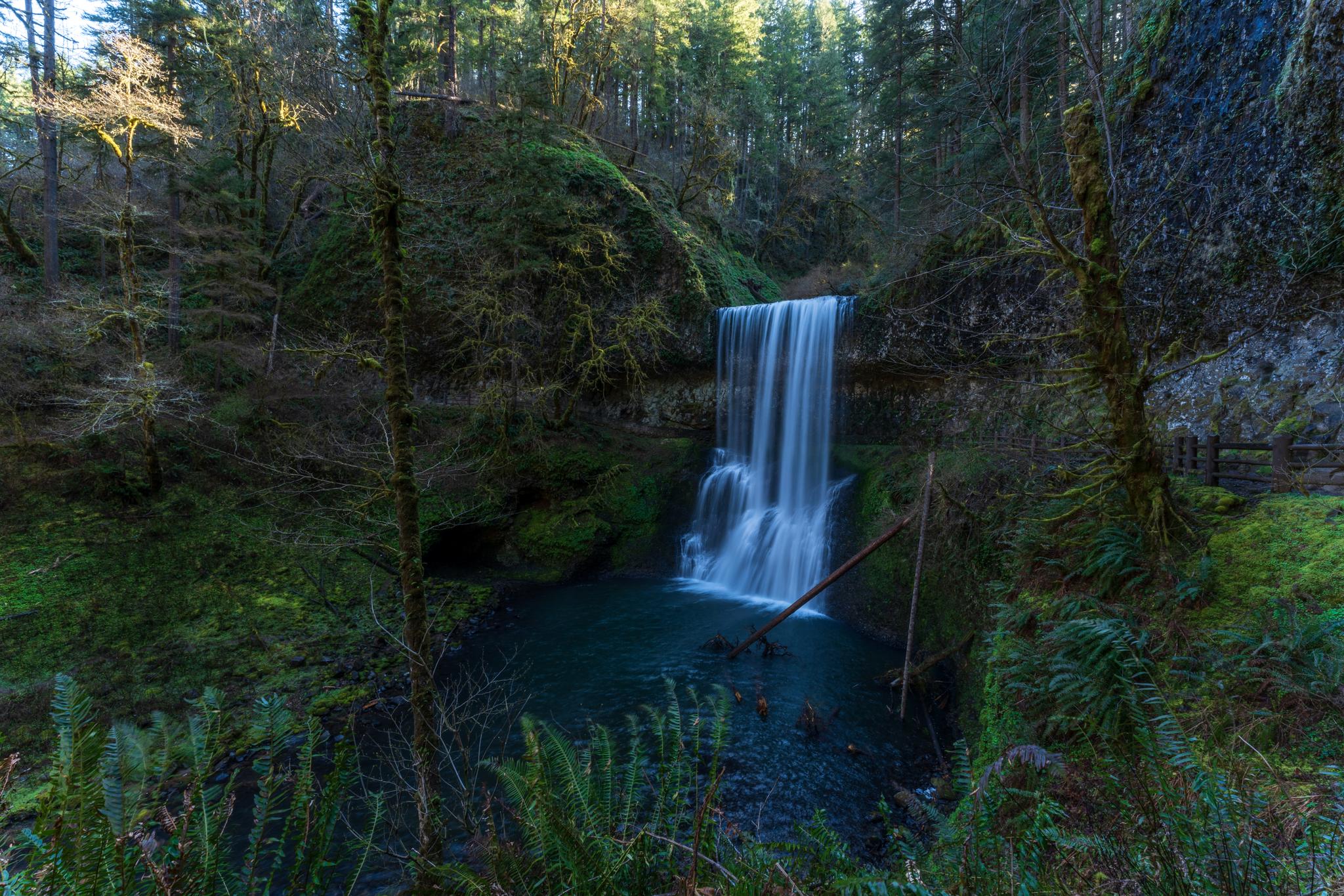 Waterfall cascading into a serene pool in a dark, mossy forest.