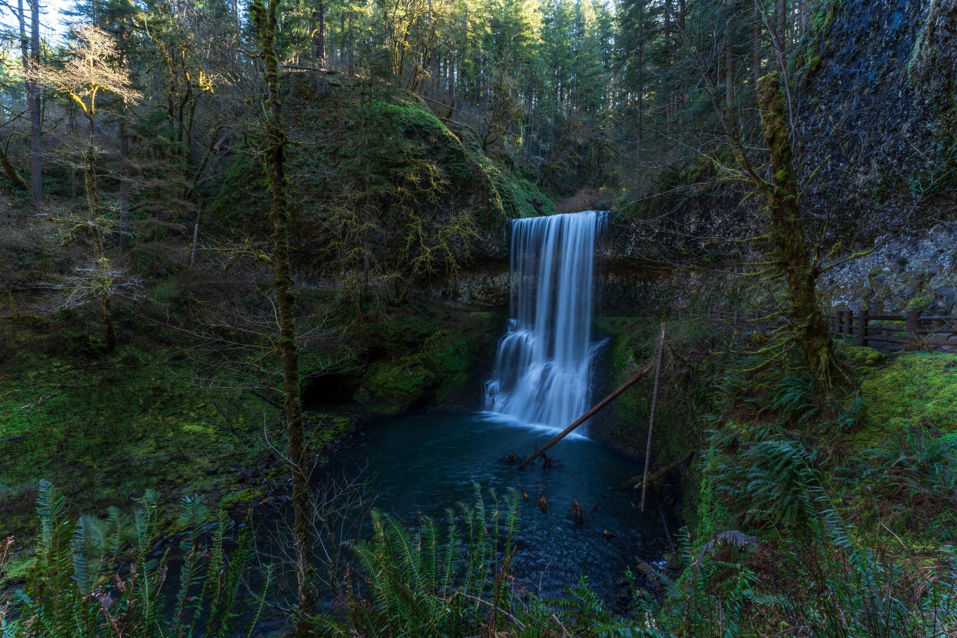 Waterfall cascading into a serene pool in a dark, mossy forest.