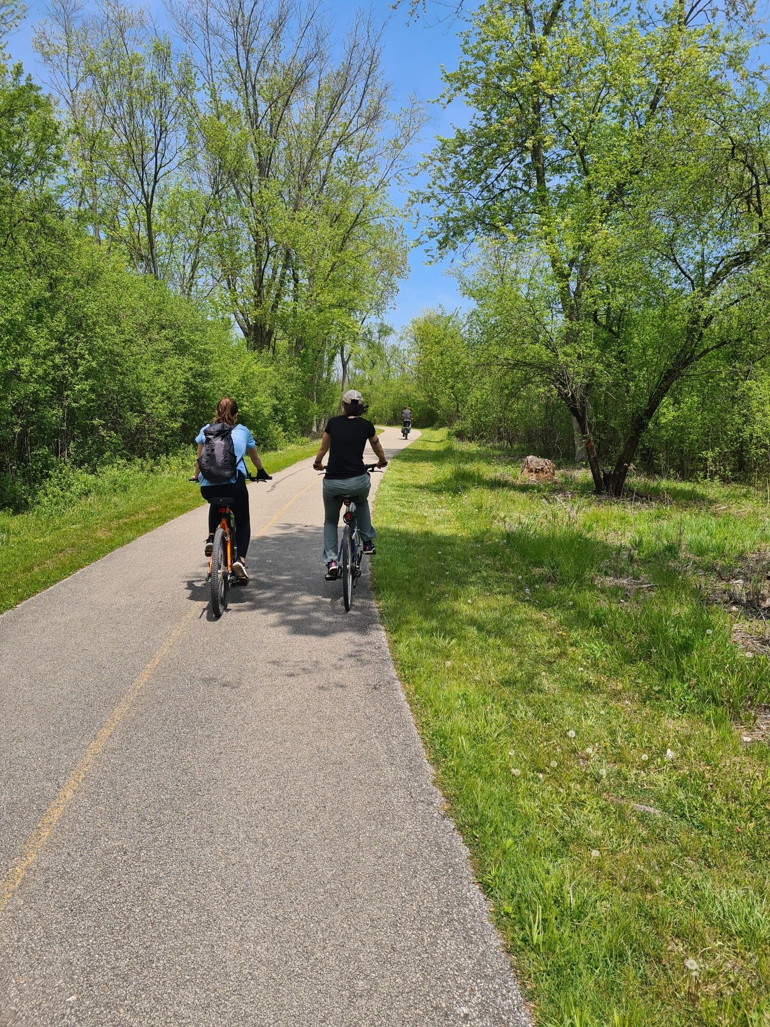 Two people bike on a sunny paved path through green trees. - North Branch Trail and Botanic Garden Loop