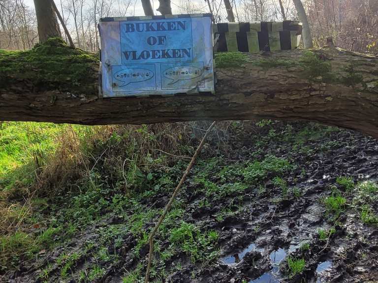 Poel in drassige weide Wanderungen und Rundwege komoot
