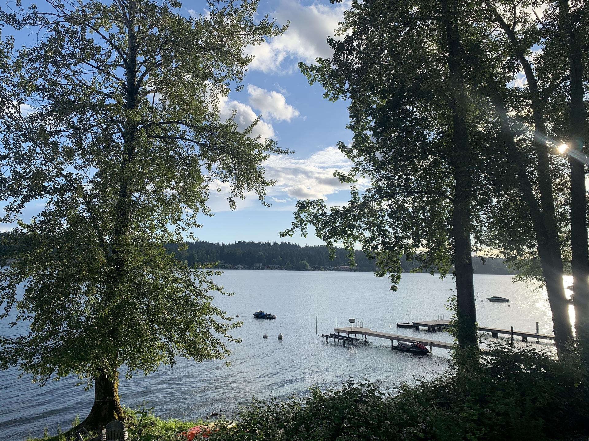 Sunny lake view through green trees, with docks and distant forested shoreline.